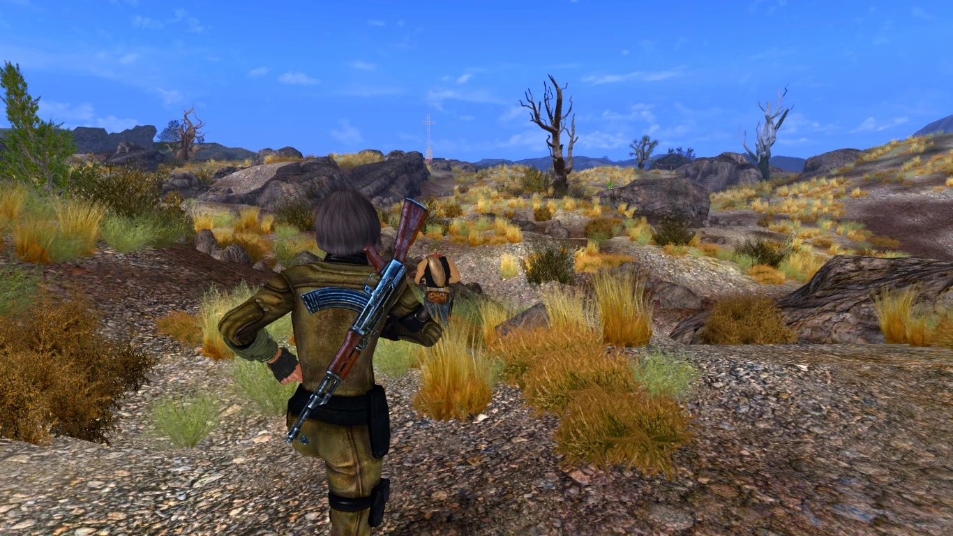 best graphics mods for fallout new vegas
