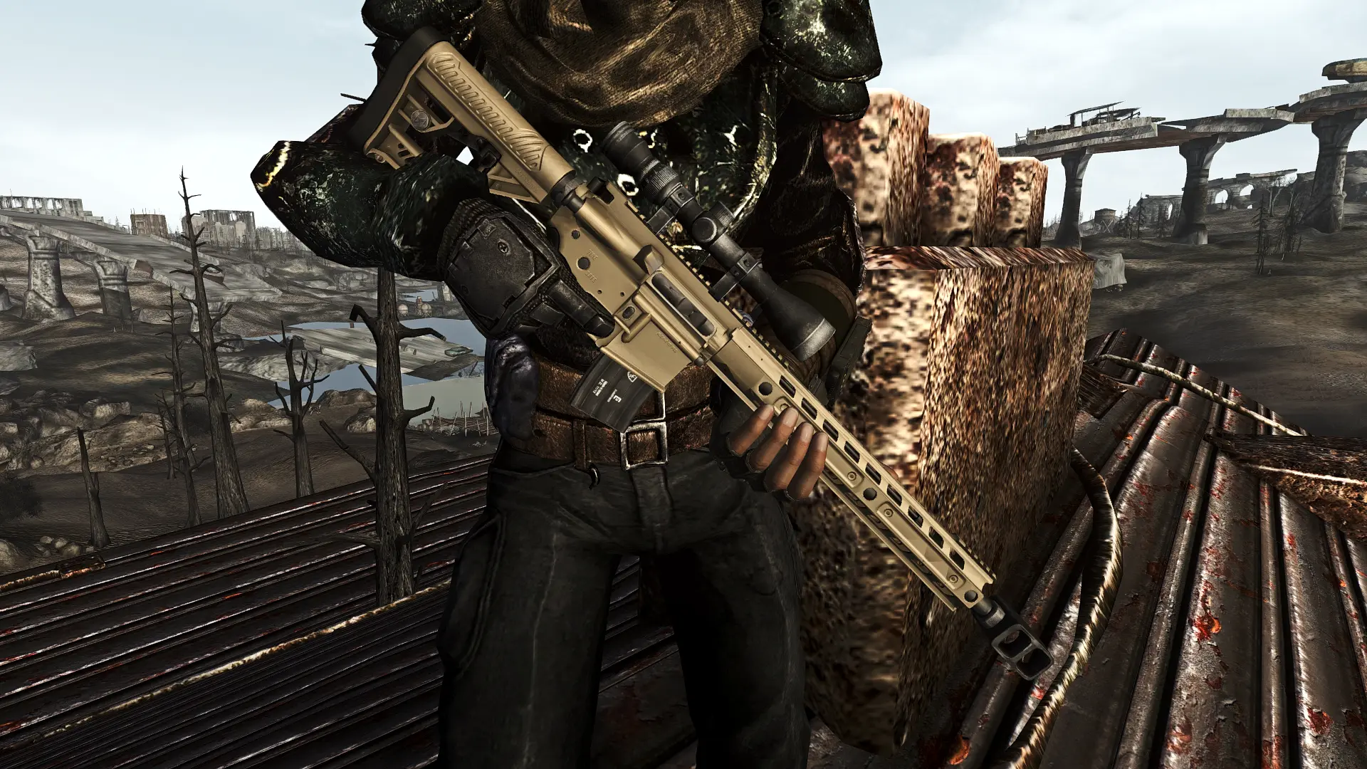 Beowulf Rifle at Fallout New Vegas - mods and community