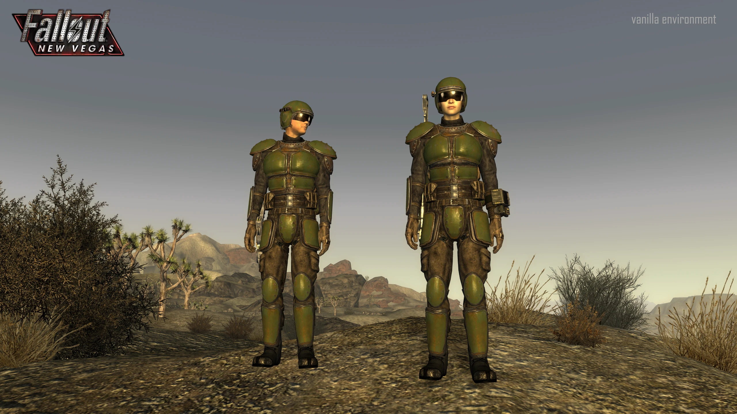 FNV] How do I solve this texture problem with the Classic Fallout 2 Metal  armor Mk II and Classic Fallout 2 combat armor (remastered) mod? :  r/FalloutMods