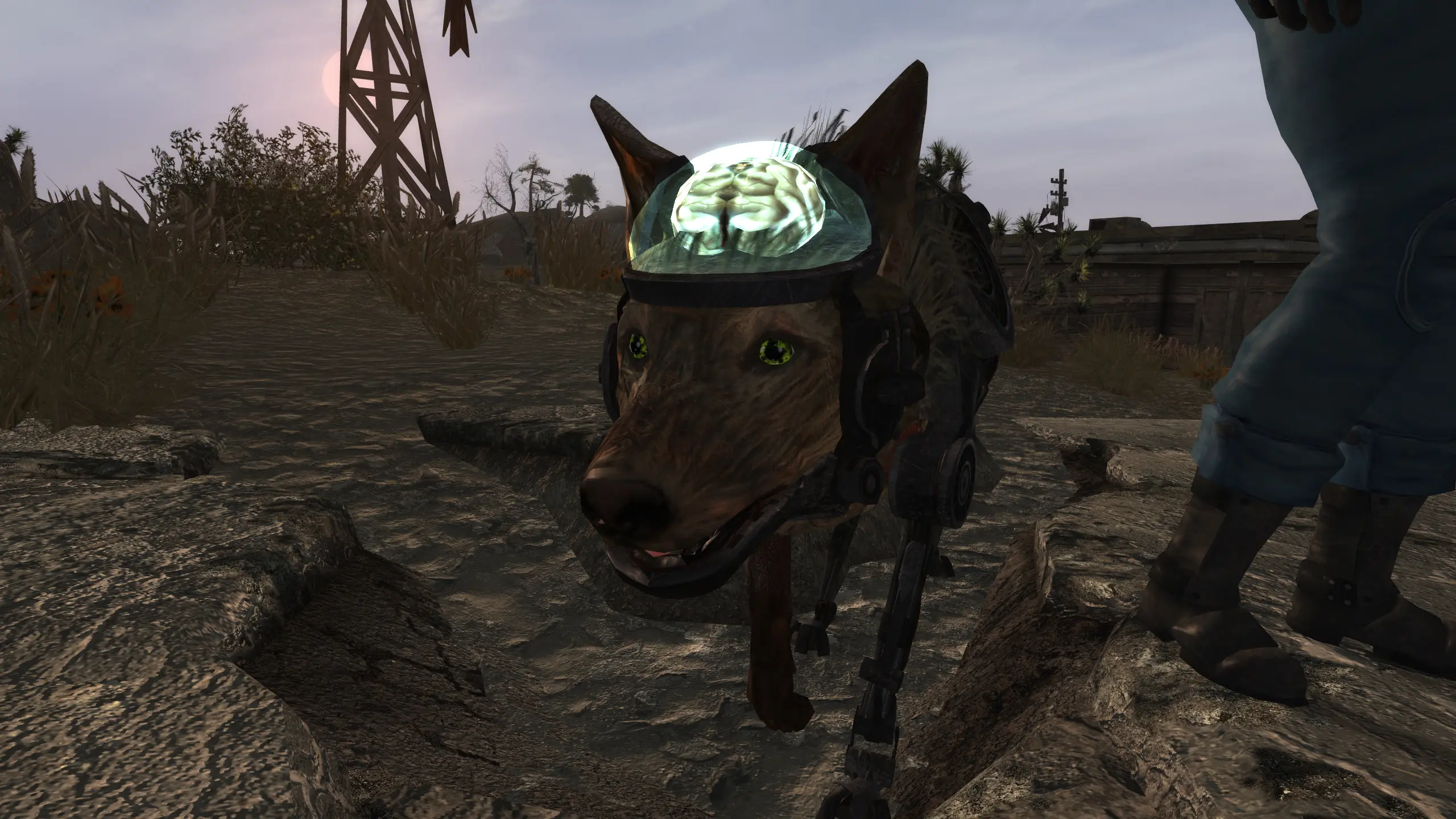 Rex Legion Mongrel Cyberdog at Fallout New Vegas - mods and community