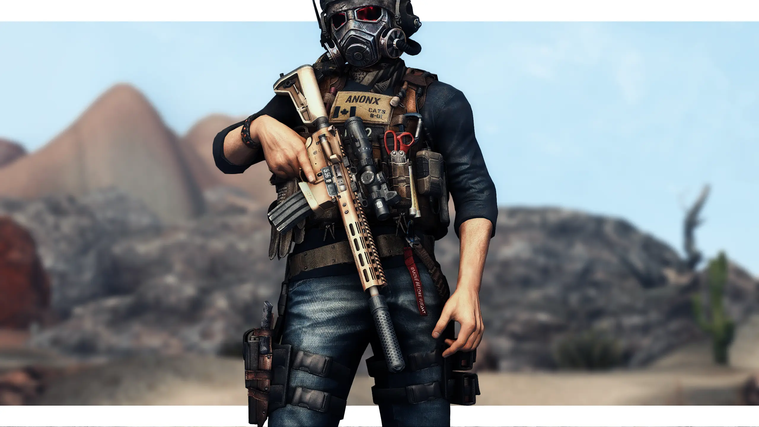 Wasteland AR Pack at Fallout New Vegas - mods and community