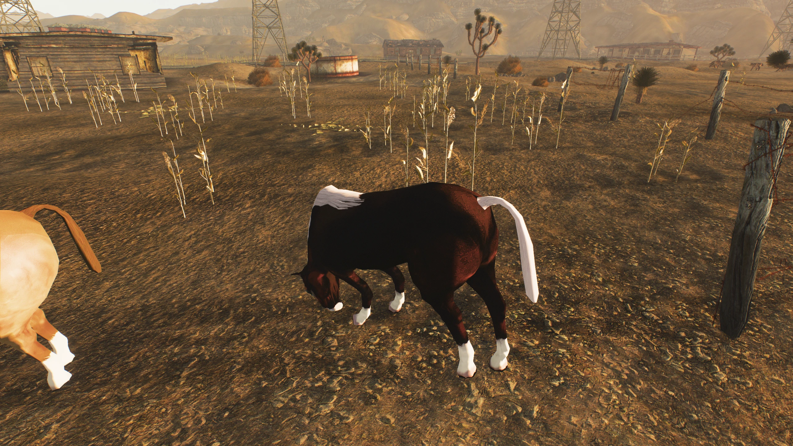 Wild West Horses at Fallout New Vegas - mods and community