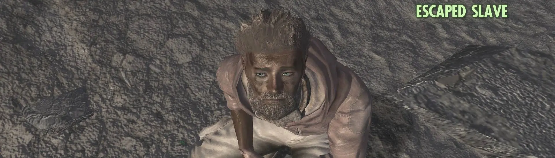 Slave (Fallout: New Vegas), Fallout Wiki