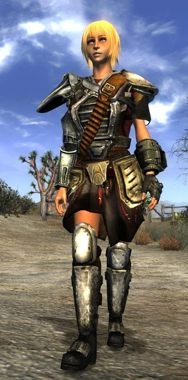 fallout 3 armor replacer
