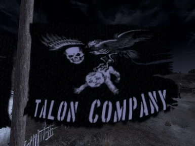 Talon Flag 2