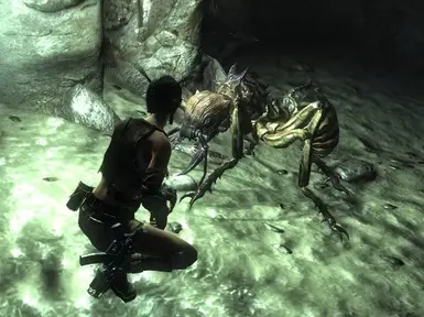 fo3 ant
