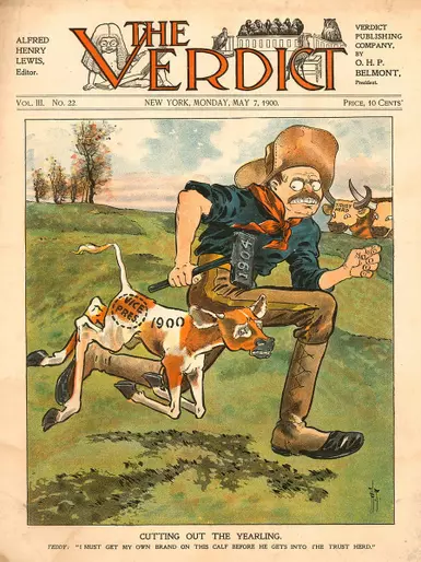 Mag The Verdict