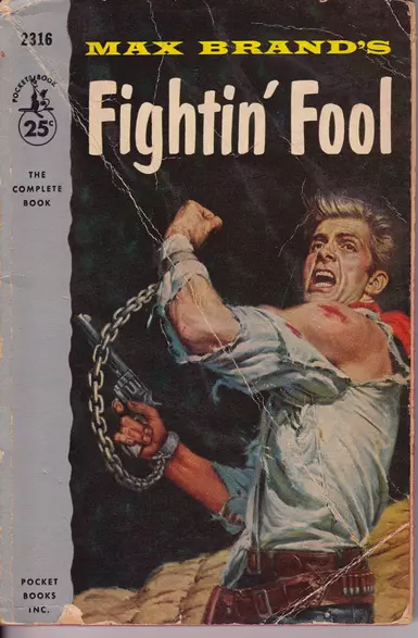 Book Western Fighting Fool
