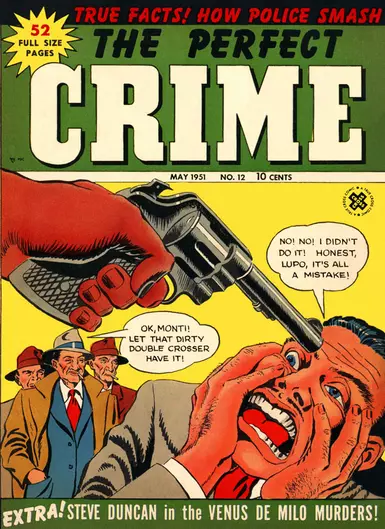 Mag The Perfect Crime