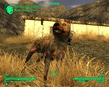 Vicious Dog