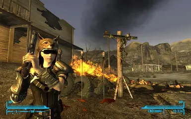 Better Headgear mod at Fallout New Vegas - mods and community