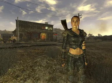 Ismet Companion file - FNV simple mods project for Fallout: New