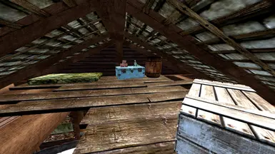 Cabin Attic