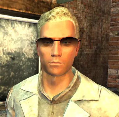 Improved Glasses at Fallout New Vegas - mods and community