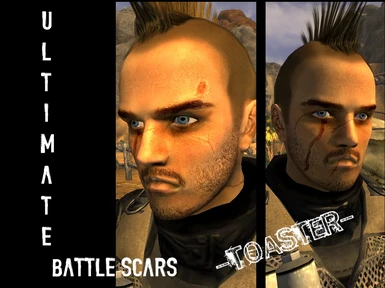 Ultimate Battle Scars
