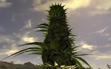 New Plants - Bud