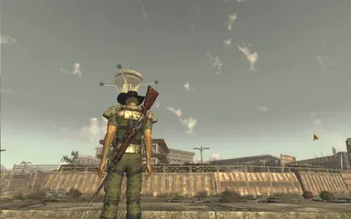 Holstered