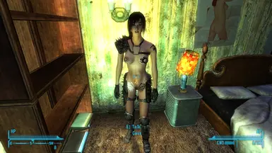 fallout nv nude mods