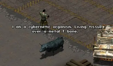 Terminator Brahmin This is a possible encounter but unlikely