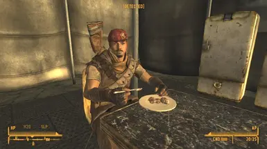 fallout new vegas survival mods