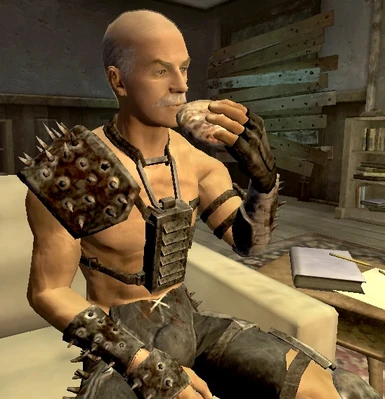 0G9 RobCo Armorizer at Fallout New Vegas - mods and community