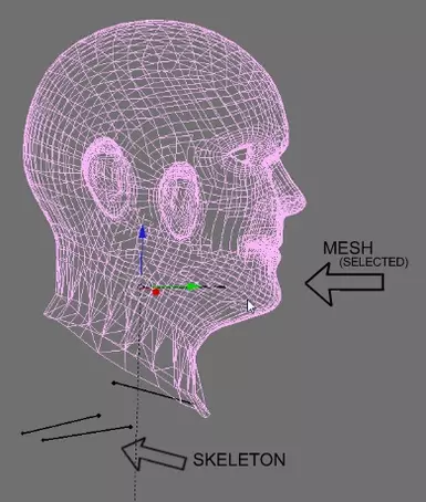 mesh and skeleton