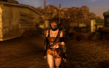 Fallout New Vegas - mods and community