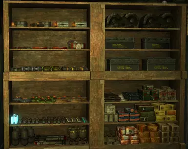 Ammo and consumable weapons