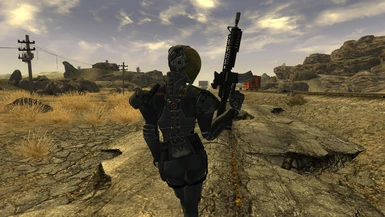 Chinese ShockTroopers NV at Fallout New Vegas - mods and community