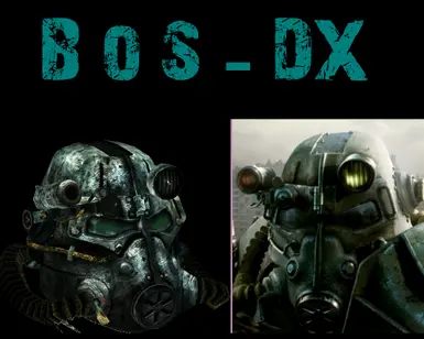 T45D BOS DX and T45D DX