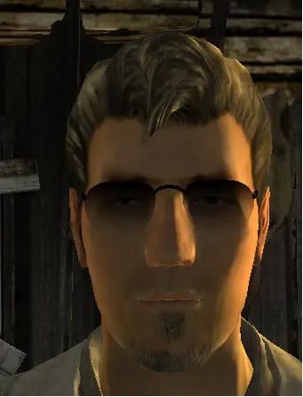 New looks for companions
