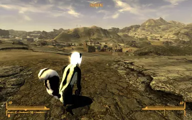 Striped Back Femme with Small Tail