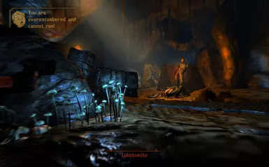 Lobotmite Be Gone
