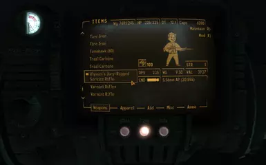 DPS Armor Piercing