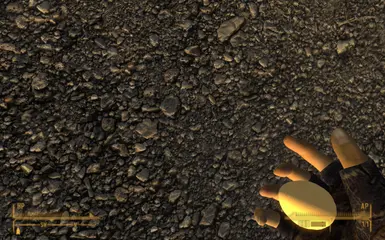 The Egg