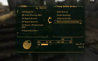 Young Golden Gecko Spawn Drop