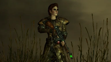 Cornelia surveying the wasteland in her cool Wasteland Soldier gear.