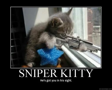 Adorable Sniper Kitty
