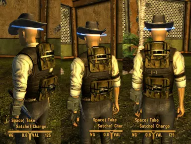 Satchel Charges