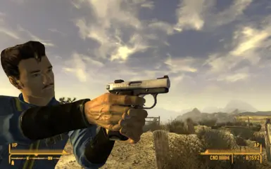 Gun