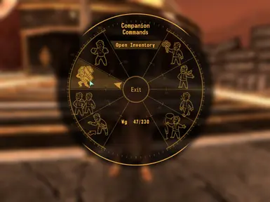 Companion Wheel