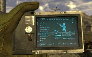 Pipboy View