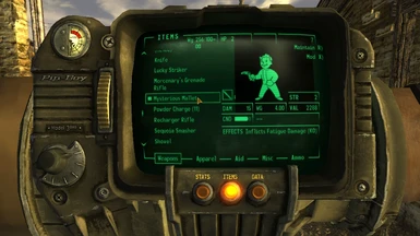 Pipboy Mysterious Magnum