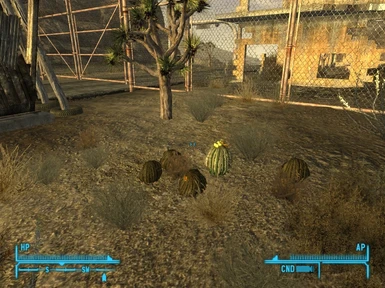 Unlootable Barrel Cactus at Mojave Outpost requesting upload for bugfix