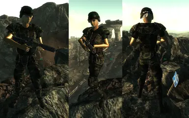 Fallout new vegas us army combat armor system