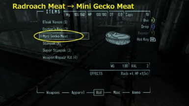 Radroach Meat replace to Mini Gecko Meat