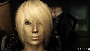 fallout new vegas character overhaul hair