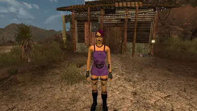 new vegas best body mod