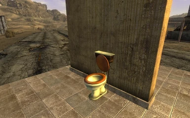 Toilet with Toilet Seat open