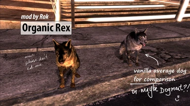Organic Rex and Dogmeat